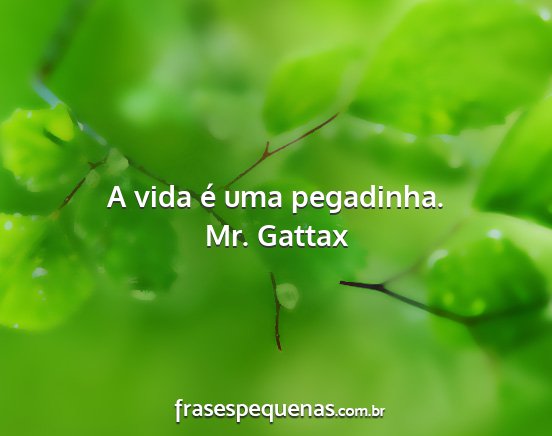 Mr. Gattax - A vida é uma pegadinha....