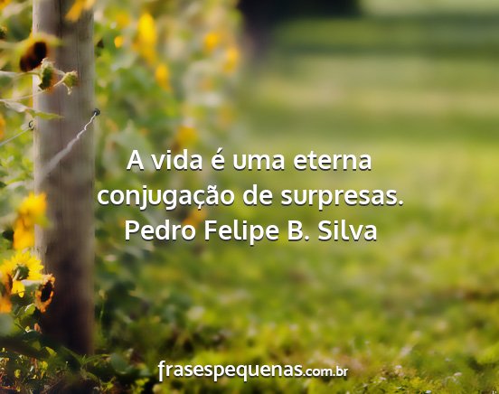 Pedro Felipe B. Silva - A vida é uma eterna conjugação de surpresas....
