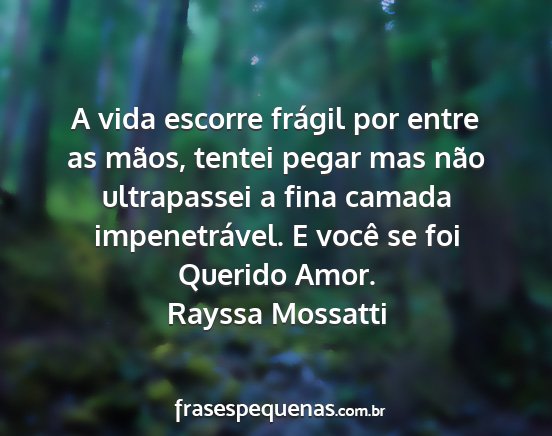 Rayssa Mossatti - A vida escorre frágil por entre as mãos, tentei...