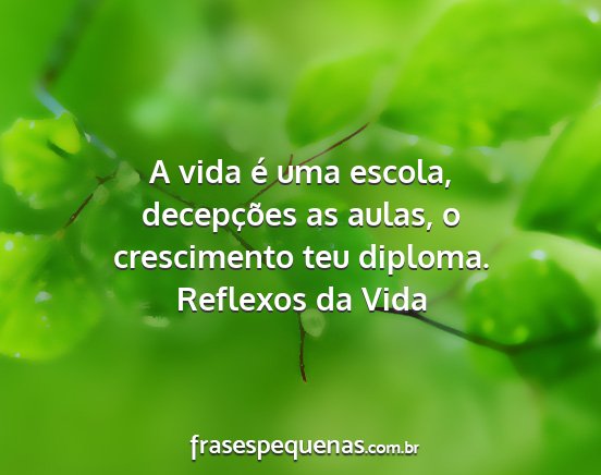 Reflexos da Vida - A vida é uma escola, decepções as aulas, o...