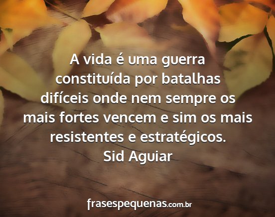 Sid Aguiar - A vida é uma guerra constituída por batalhas...