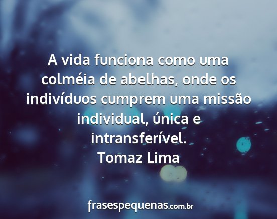 Tomaz Lima - A vida funciona como uma colméia de abelhas,...