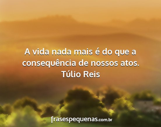 Túlio Reis - A vida nada mais é do que a consequência de...