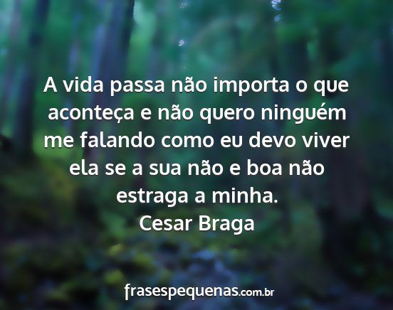 Cesar Braga - A vida passa não importa o que aconteça e não...