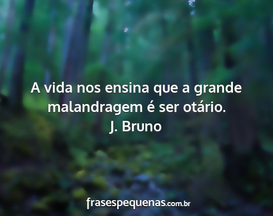 J. Bruno - A vida nos ensina que a grande malandragem é ser...