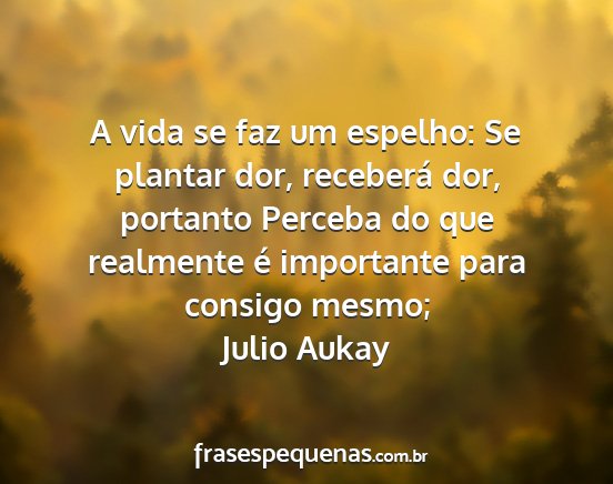 Julio Aukay - A vida se faz um espelho: Se plantar dor,...