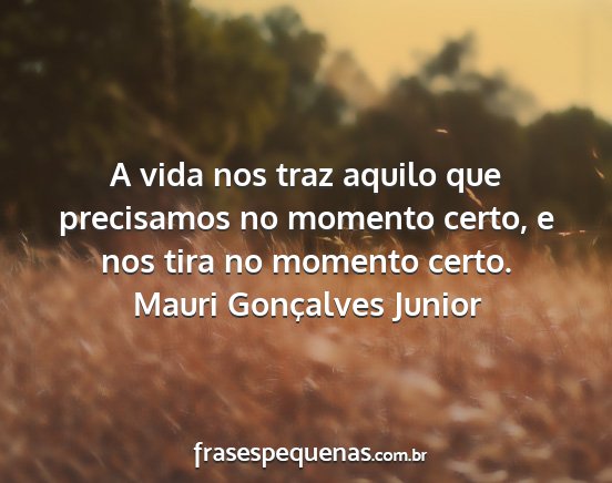 Mauri Gonçalves Junior - A vida nos traz aquilo que precisamos no momento...