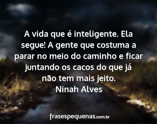 Ninah Alves - A vida que é inteligente. Ela segue! A gente que...