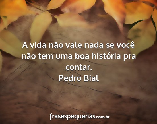 Pedro Bial - A vida não vale nada se você não tem uma boa...