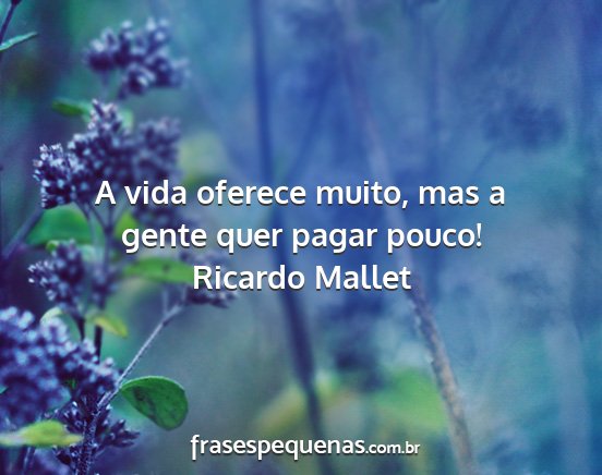 Ricardo Mallet - A vida oferece muito, mas a gente quer pagar...
