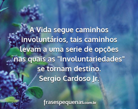 Sergio Cardoso Jr. - A Vida segue caminhos involuntários, tais...