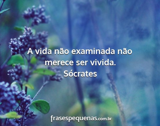 Sócrates - A vida não examinada não merece ser vivida....