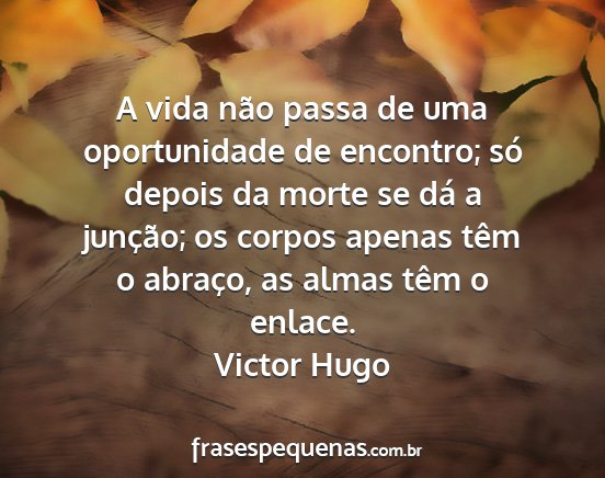 Victor Hugo - A vida não passa de uma oportunidade de...