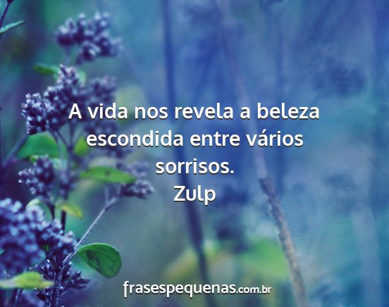 Zulp - A vida nos revela a beleza escondida entre...