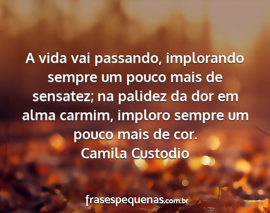 Camila Custodio - A vida vai passando, implorando sempre um pouco...