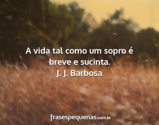 J. J. Barbosa - A vida tal como um sopro é breve e sucinta....