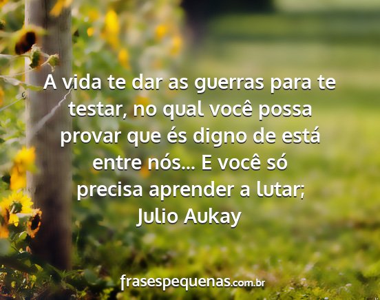 Julio Aukay - A vida te dar as guerras para te testar, no qual...
