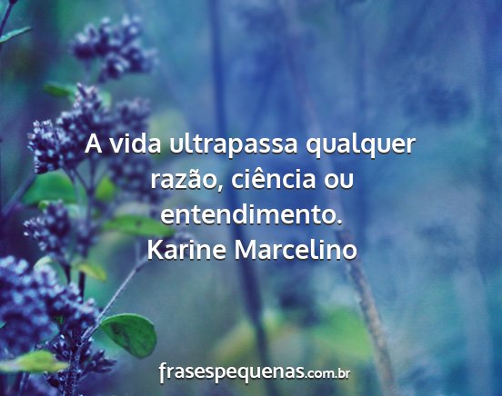 Karine Marcelino - A vida ultrapassa qualquer razão, ciência ou...