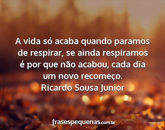 Ricardo Sousa Junior - A vida só acaba quando paramos de respirar, se...