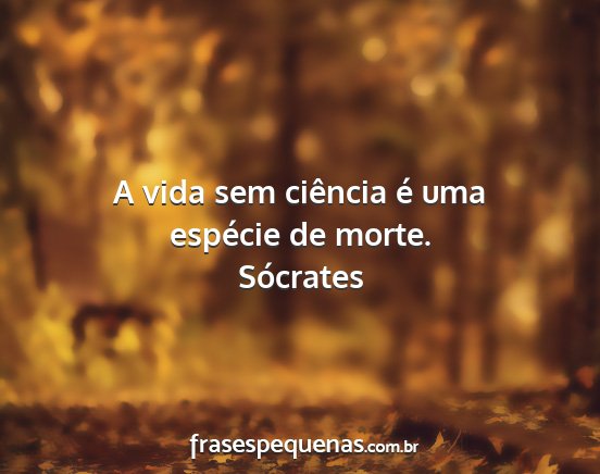 Sócrates - A vida sem ciência é uma espécie de morte....