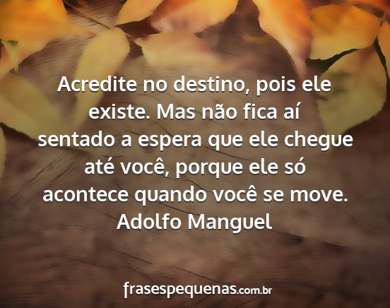 Adolfo Manguel - Acredite no destino, pois ele existe. Mas não...