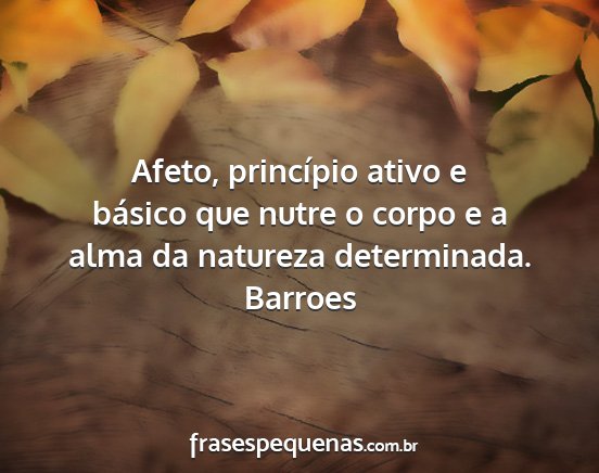 Barroes - Afeto, princípio ativo e básico que nutre o...