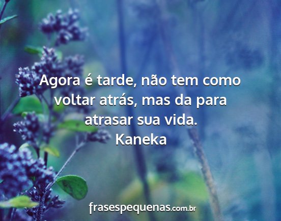 Kaneka - Agora é tarde, não tem como voltar atrás, mas...