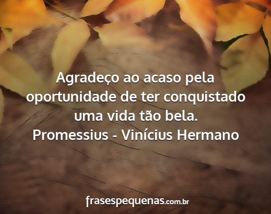 Promessius - Vinícius Hermano - Agradeço ao acaso pela oportunidade de ter...