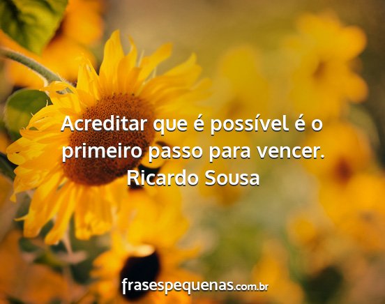 Ricardo Sousa - Acreditar que é possível é o primeiro passo...