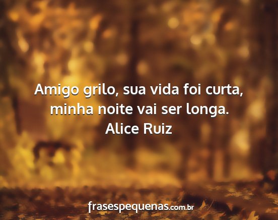 Alice Ruiz - Amigo grilo, sua vida foi curta, minha noite vai...