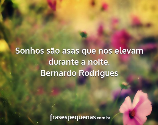 Bernardo Rodrigues - Sonhos são asas que nos elevam durante a noite....