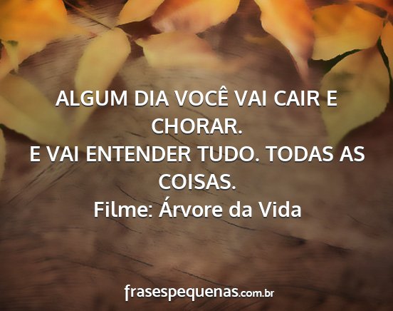 Filme: Árvore da Vida - ALGUM DIA VOCÊ VAI CAIR E CHORAR. E VAI ENTENDER...