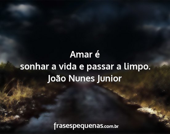 João Nunes Junior - Amar é sonhar a vida e passar a limpo....