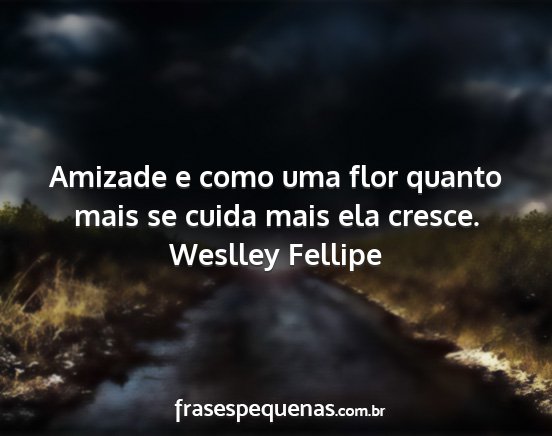 Weslley Fellipe - Amizade e como uma flor quanto mais se cuida mais...