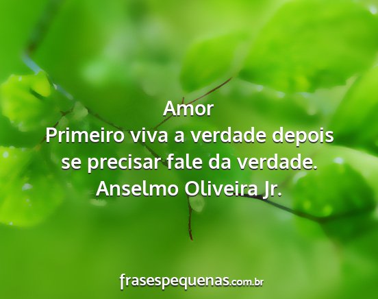 Anselmo Oliveira Jr. - Amor Primeiro viva a verdade depois se precisar...