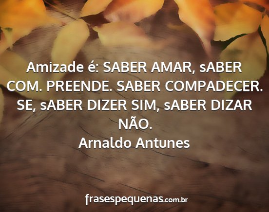 Arnaldo Antunes - Amizade é: SABER AMAR, sABER COM. PREENDE. SABER...