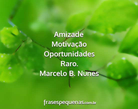 Marcelo B. Nunes - Amizade Motivação Oportunidades Raro....
