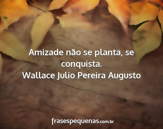 Wallace Julio Pereira Augusto - Amizade não se planta, se conquista....