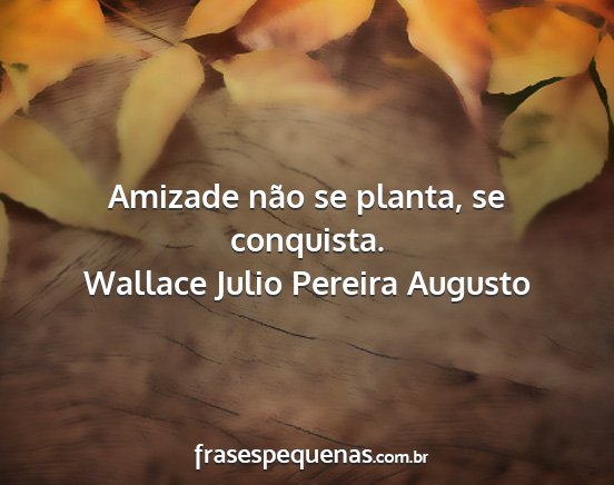 Wallace Julio Pereira Augusto - Amizade não se planta, se conquista....