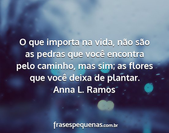 Anna L. Ramos - O que importa na vida, não são as pedras que...