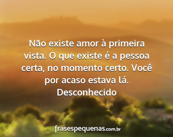 Desconhecido - Não existe amor à primeira vista. O que existe...