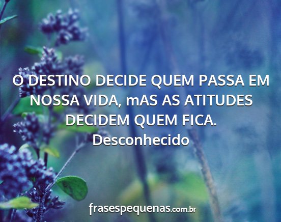 Desconhecido - O DESTINO DECIDE QUEM PASSA EM NOSSA VIDA, mAS AS...