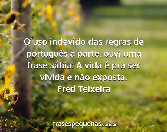 Fred Teixeira - O uso indevido das regras de português a parte,...