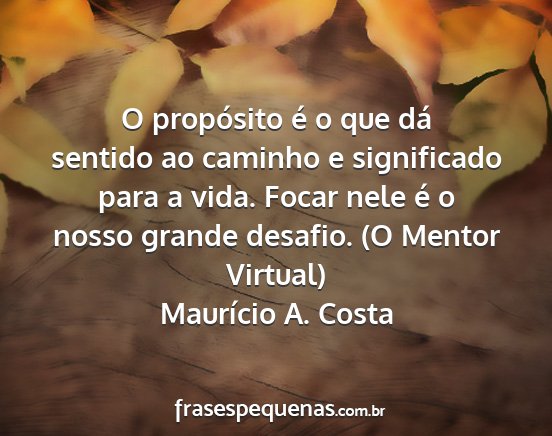 Maurício A. Costa - O propósito é o que dá sentido ao caminho e...