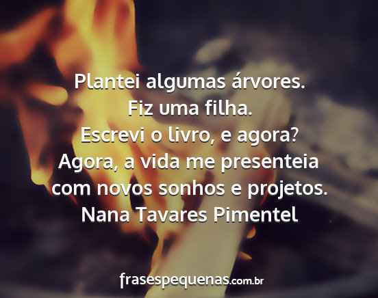 Nana Tavares Pimentel - Plantei algumas árvores. Fiz uma filha. Escrevi...