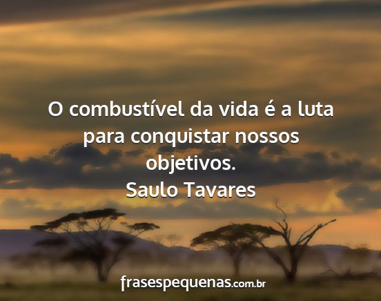 Saulo Tavares - O combustível da vida é a luta para conquistar...