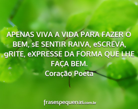 Coração Poeta - APENAS VIVA A VIDA PARA FAZER O BEM, sE SENTIR...