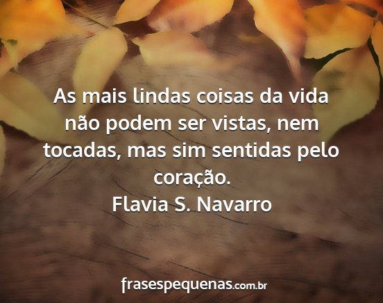 Flavia S. Navarro - As mais lindas coisas da vida não podem ser...