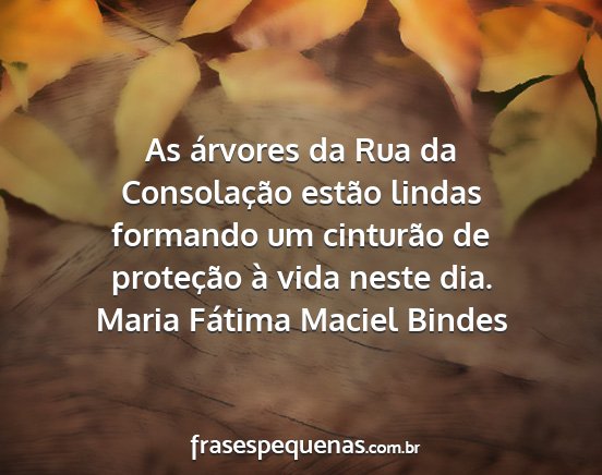 Maria Fátima Maciel Bindes - As árvores da Rua da Consolação estão lindas...