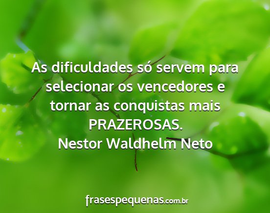 Nestor Waldhelm Neto - As dificuldades só servem para selecionar os...